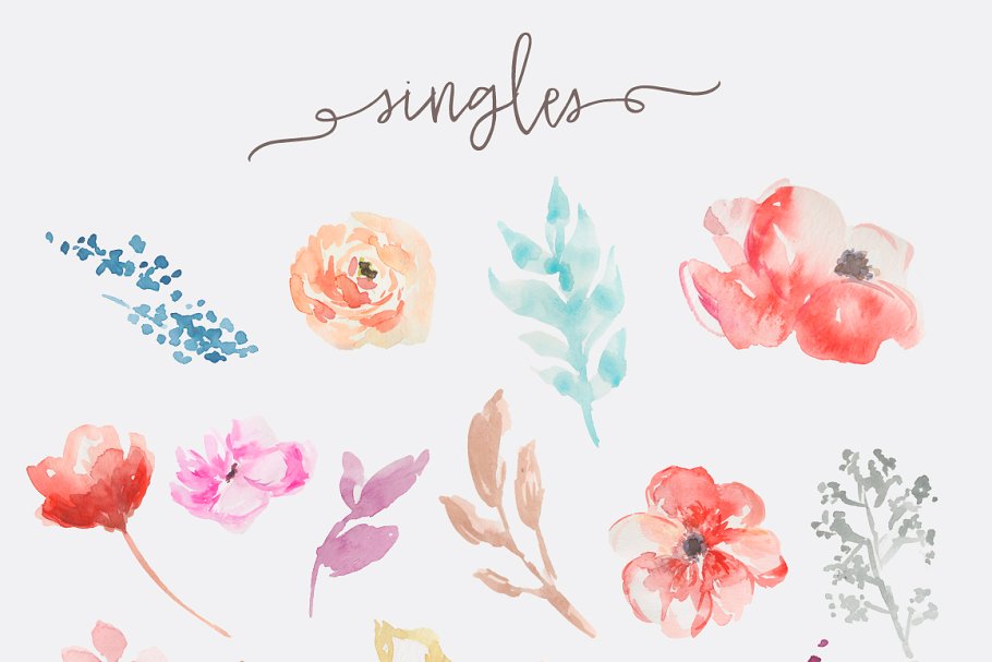 水彩花卉剪贴画 Fresca- Watercolor Flower Clip Art插图(2)