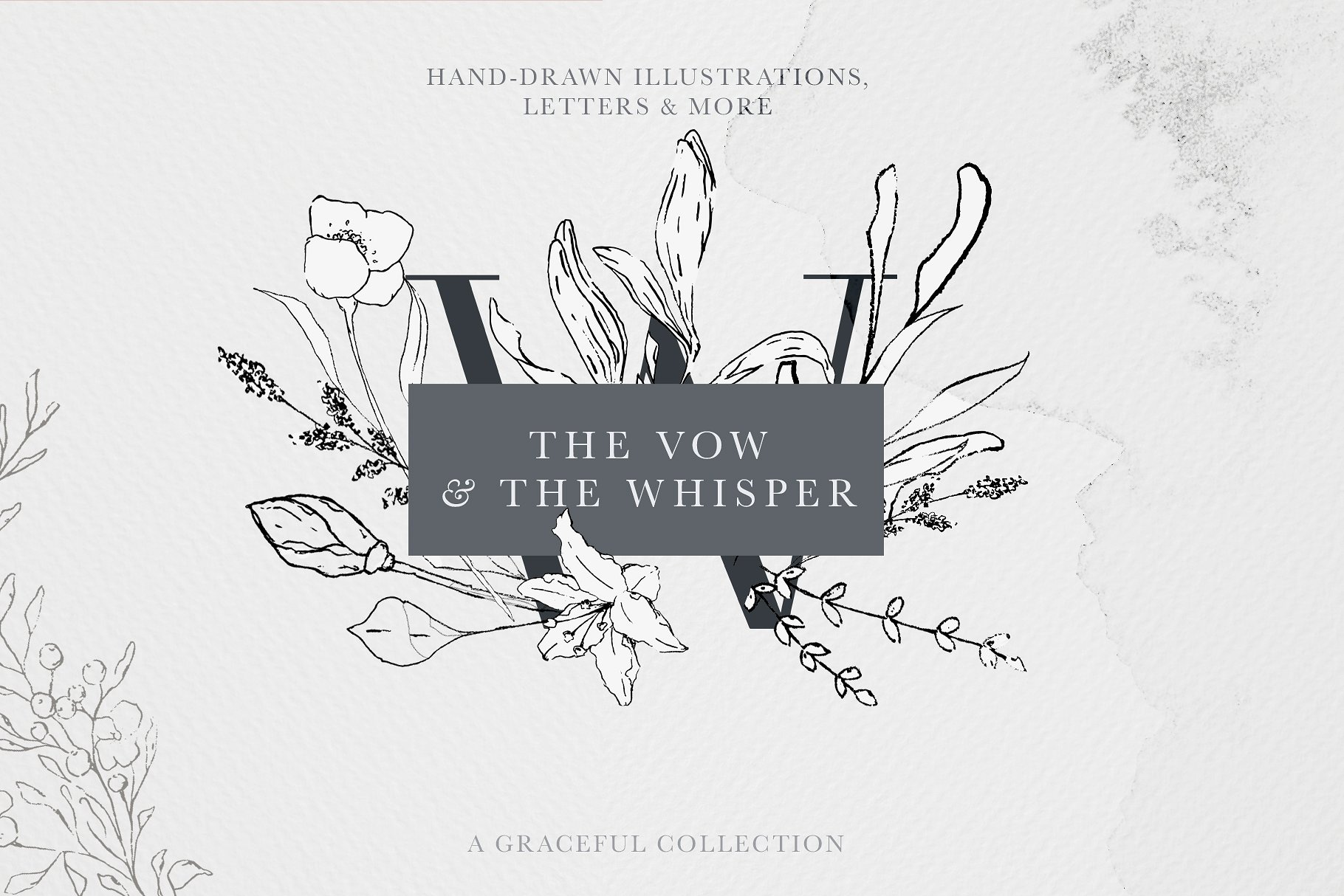 优雅风格手绘花卉插图&字母素材 Floral Alphabet & Illustrations插图