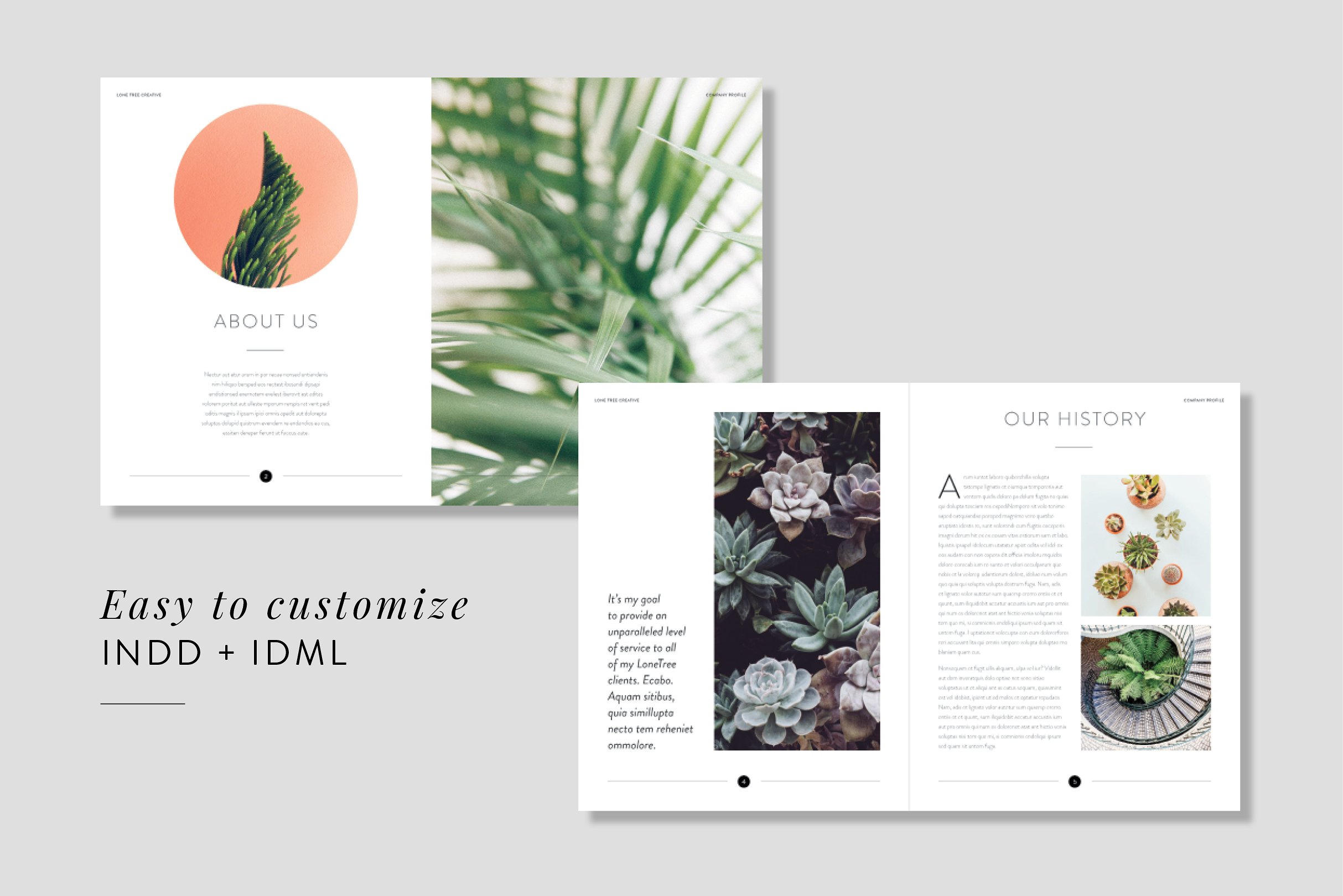 时尚专业的公司宣传画册模板 Minimal Company Profile + Brochure [indd]插图(1)