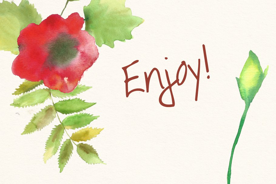 水彩花卉和树叶剪贴画 Watercolor Flowers and Leaves Pack插图(4)