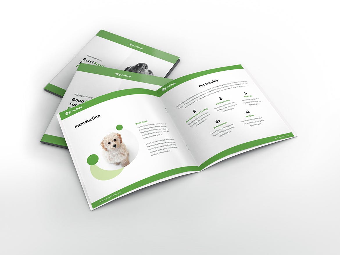 宠物店/宠物医院方形宣传册设计模板 Pet Shop Square Brochure Template插图(3)