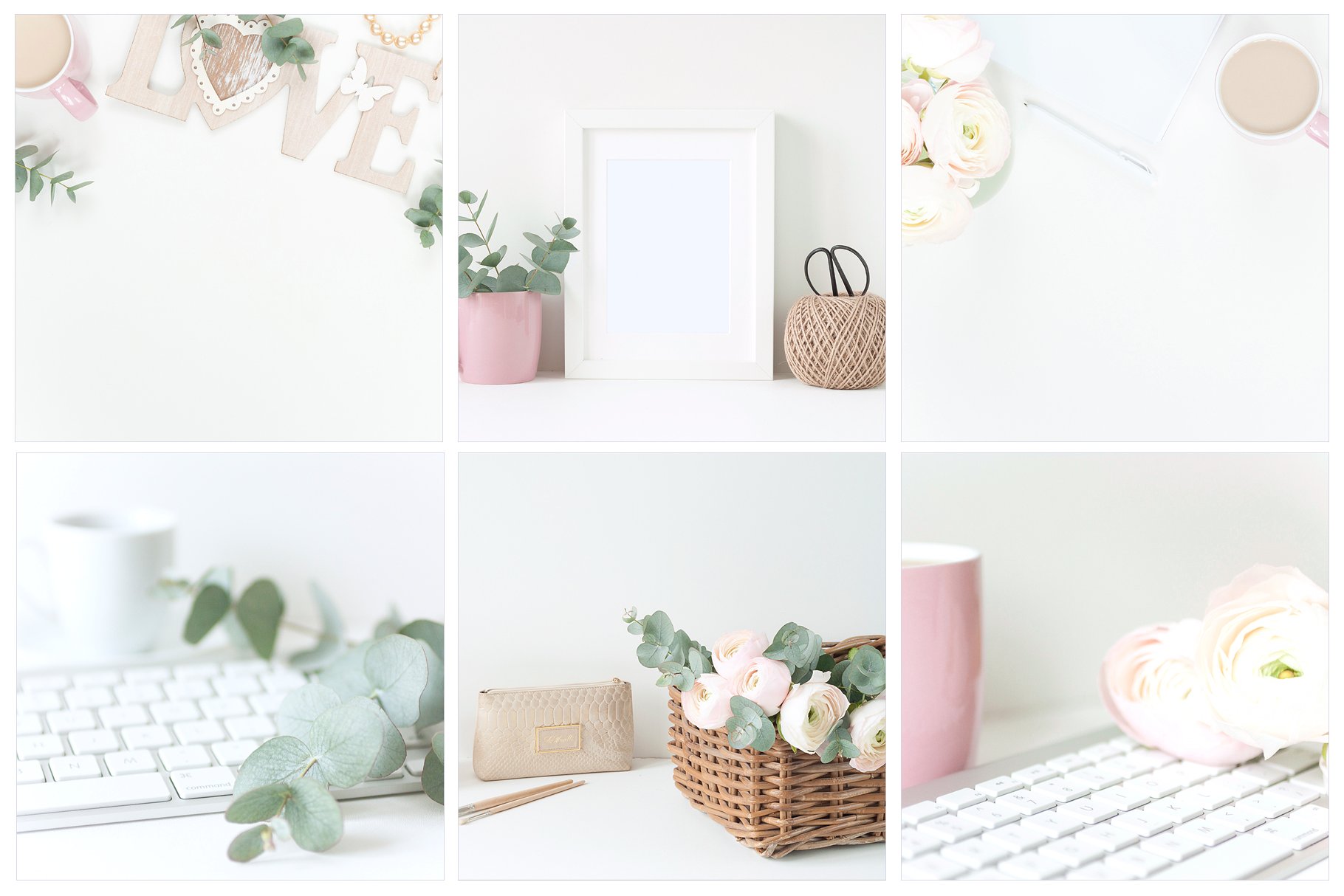 粉红毛茛花卉装饰场景样机 Pink Ranunculus Bundle插图(3)