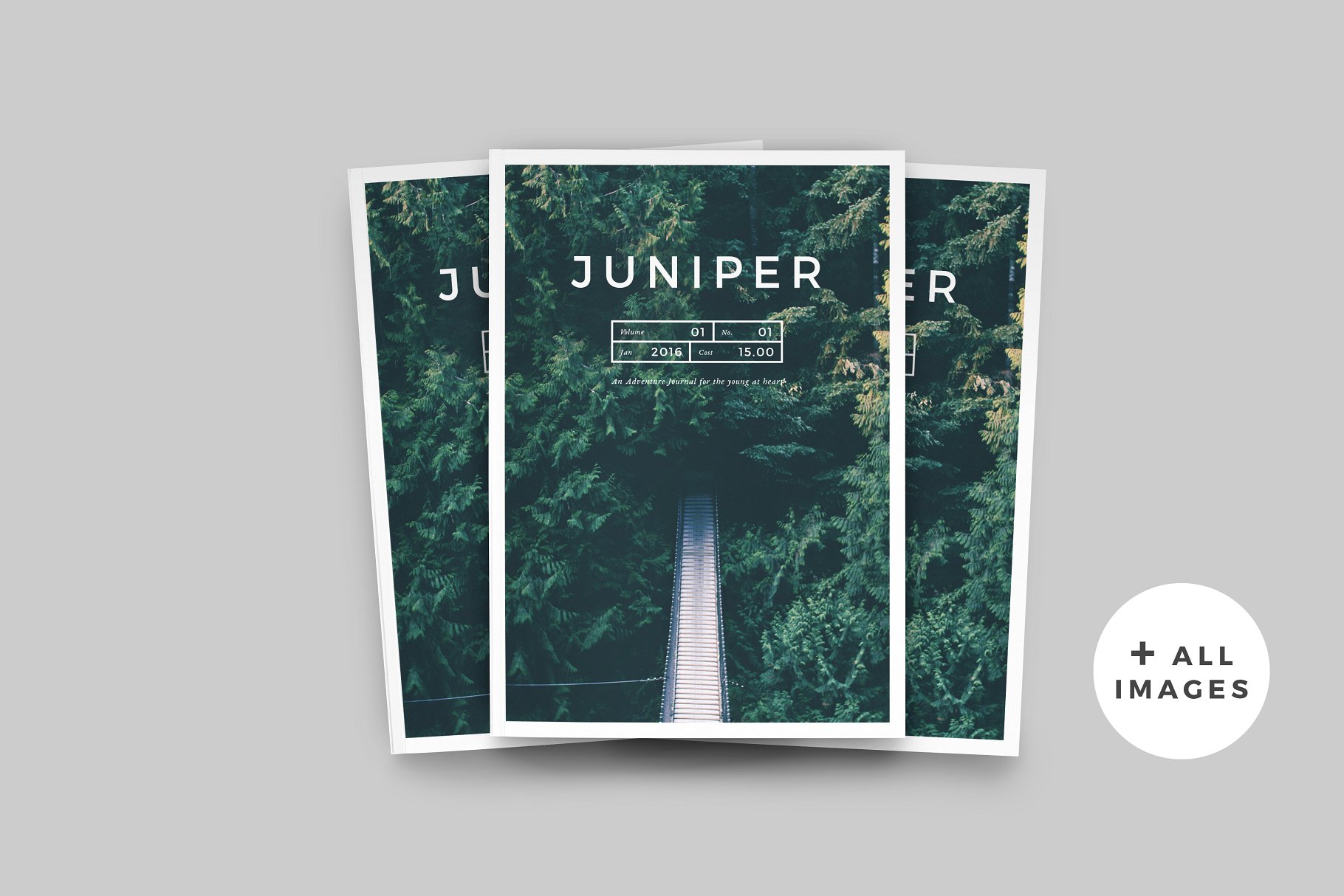 现代简约多用途杂志模板 J U N I P E R  Magazine / Portfolio插图