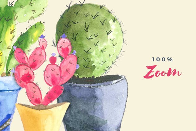多肉植物手绘水彩插画合集 Watercolor Succulent Collection插图(3)