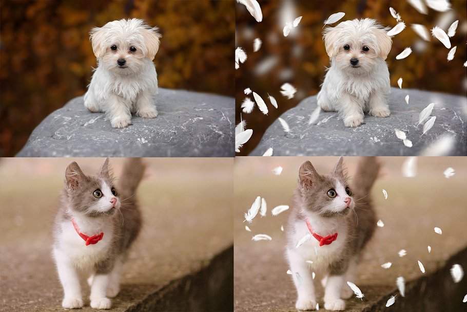 5K高清分辨率羽毛叠层背景 5K Feathers Overlays插图(5)