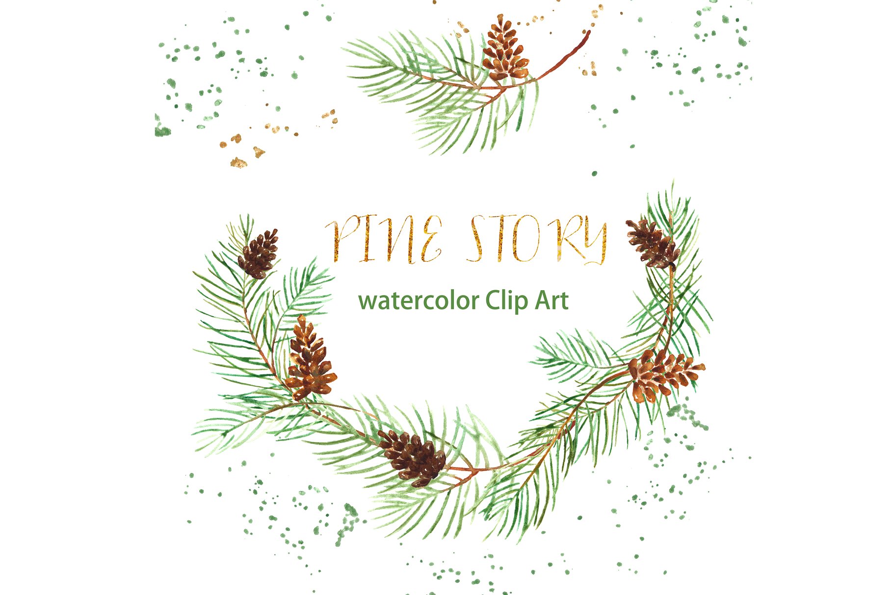 松枝水彩剪切画 Pine branches. Watercolor Clip Art.插图