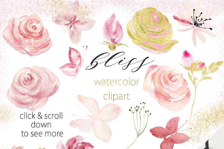 精致的手绘花卉水彩剪贴画 Watercolor clipart. Bliss. Pnik.插图(5)