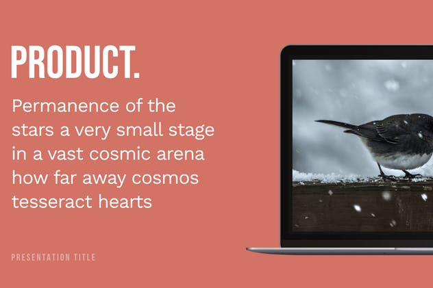 充满活力的PPT演示幻灯片模板 Mimosa — Powerpoint Presentation Template插图(5)