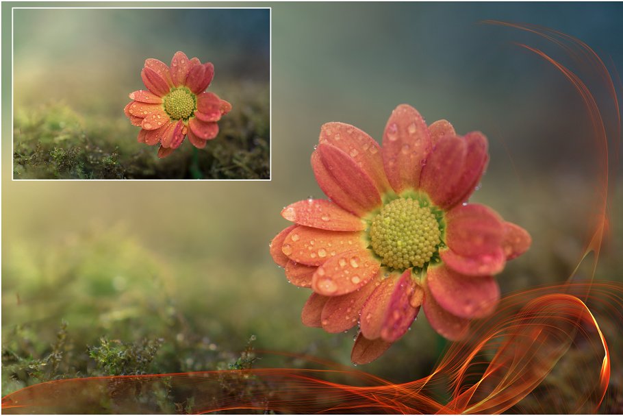 4K火焰耀斑叠层背景第5卷 4K Fire Flares Overlays Vol. 5插图(1)