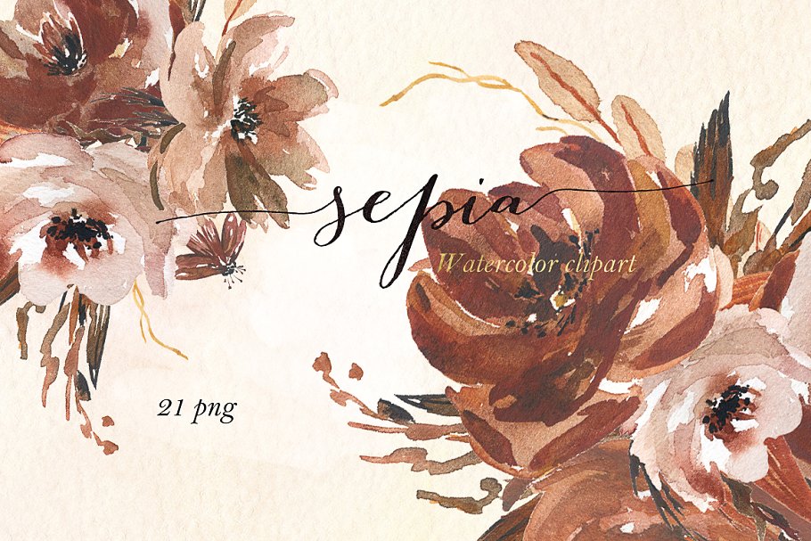 深暖色调棕色奶油粉艺术花卉插图 Sepia flowers. Watercolor clipart插图