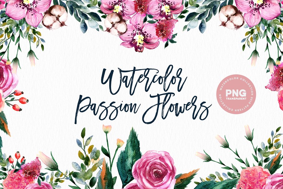 西番莲水彩剪贴画 Watercolor Passion Flowers插图