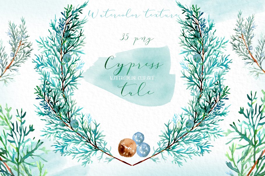 柏树水彩剪贴画 Cypress tale. Watercolor clipart插图(3)