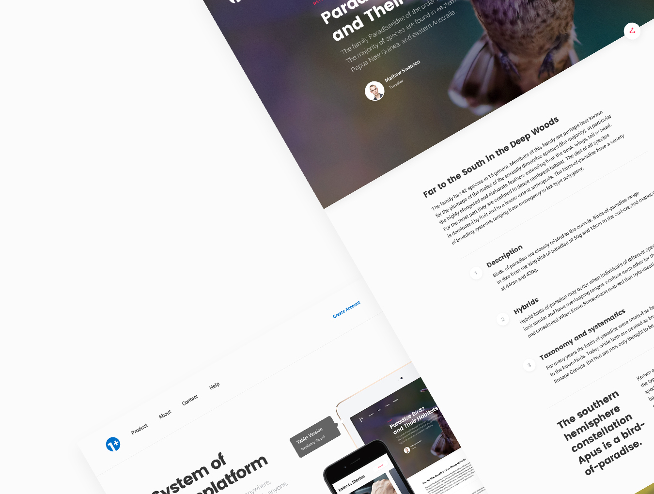 手机端+网页端设计 UI 套件 One More UI Kit（100个预设计层+5 PSD 案例）插图(1)