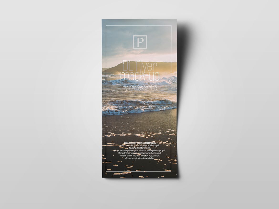 DL传单设计效果图样机素材库精选模板 DL Flyer Mock-Up插图(5)