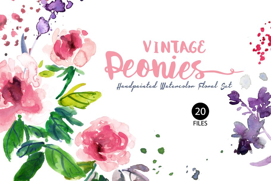 特色复古水彩牡丹剪贴插画素材合集 Vintage Peonies- Watercolor Clip Art插图(1)