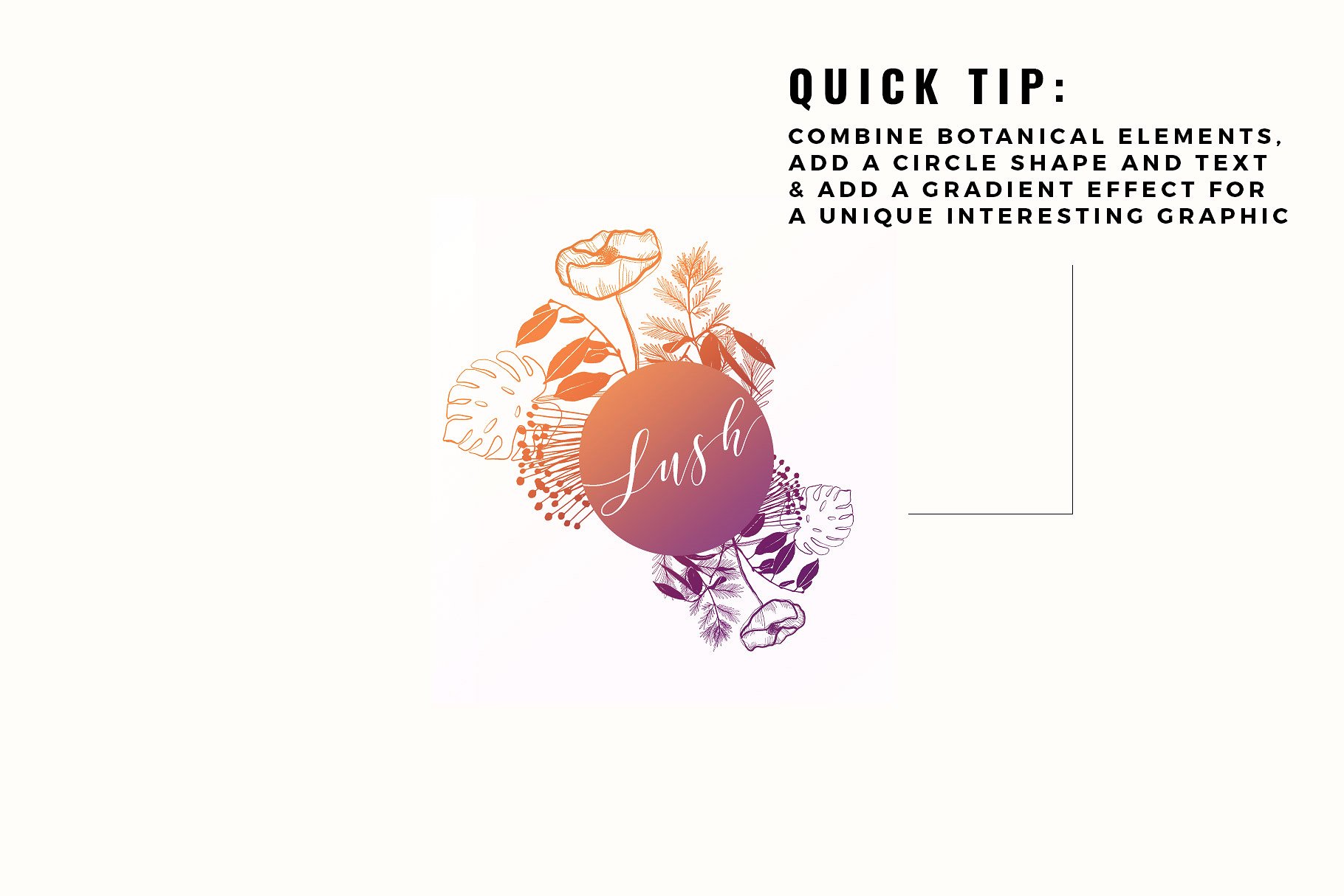 手绘有机植物矢量插图集 Botanical Garden Vector Graphics插图(11)