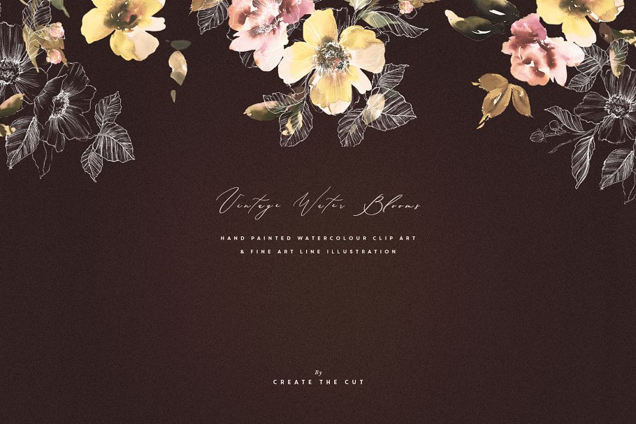 柔和优雅的水墨花朵矢量插画系列 Vintage Water Blooms插图(2)