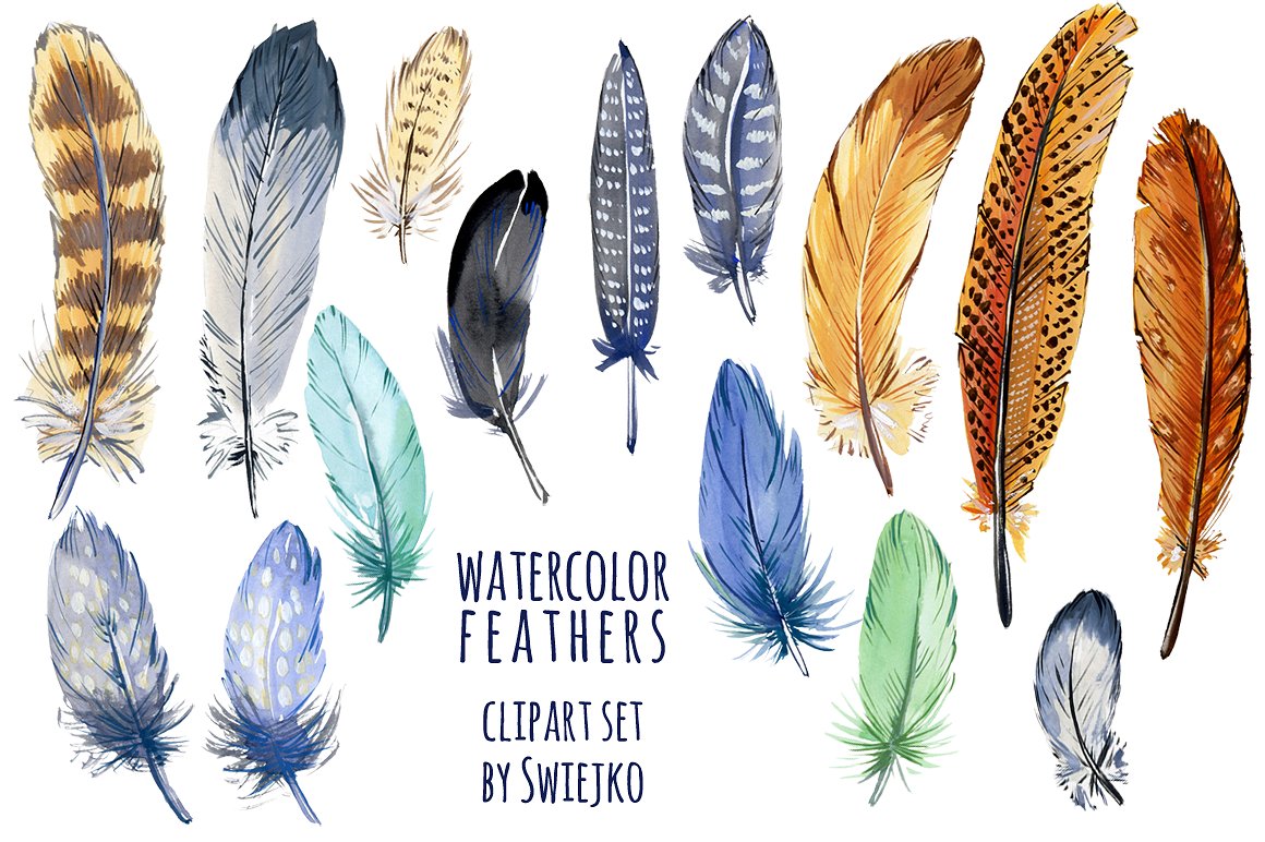 水彩多彩羽毛剪贴画 Watercolor feather clipart插图