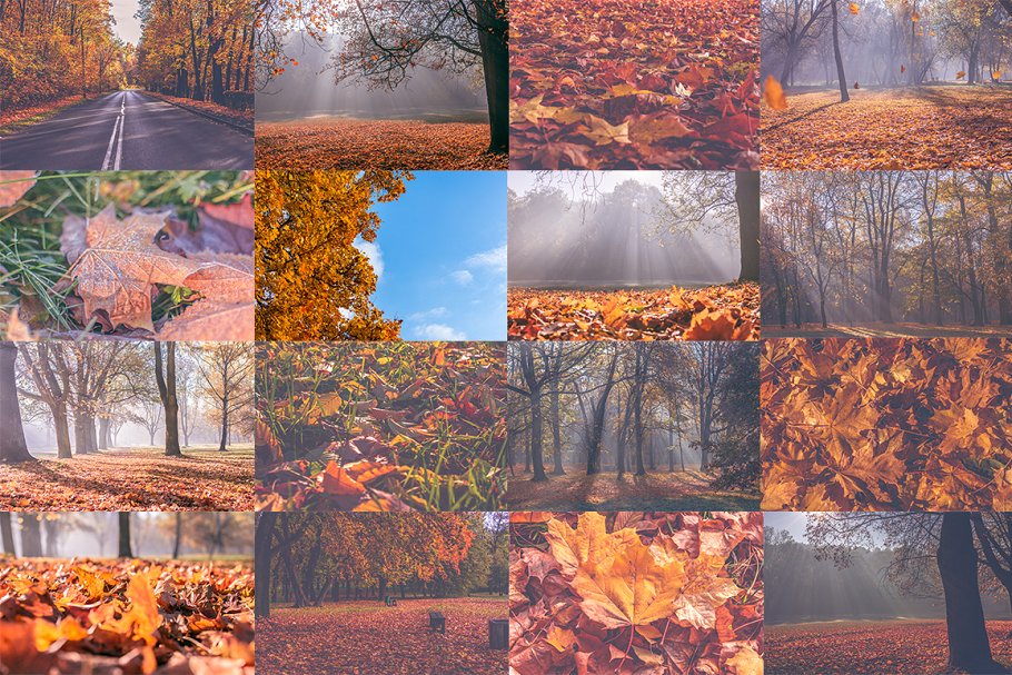 秋天主题高清照片素材 Autumn Photo Pack插图(4)
