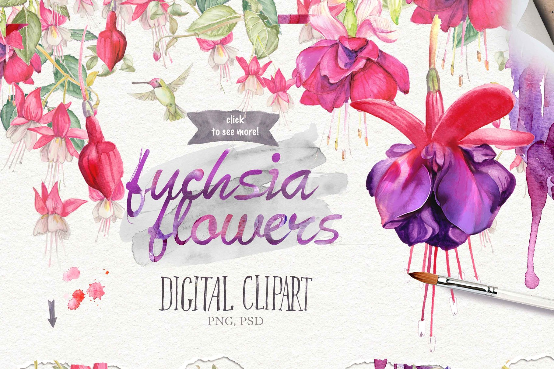 水彩元素插画大礼包[2.67GB] Over 120PNG watercolors插图(1)