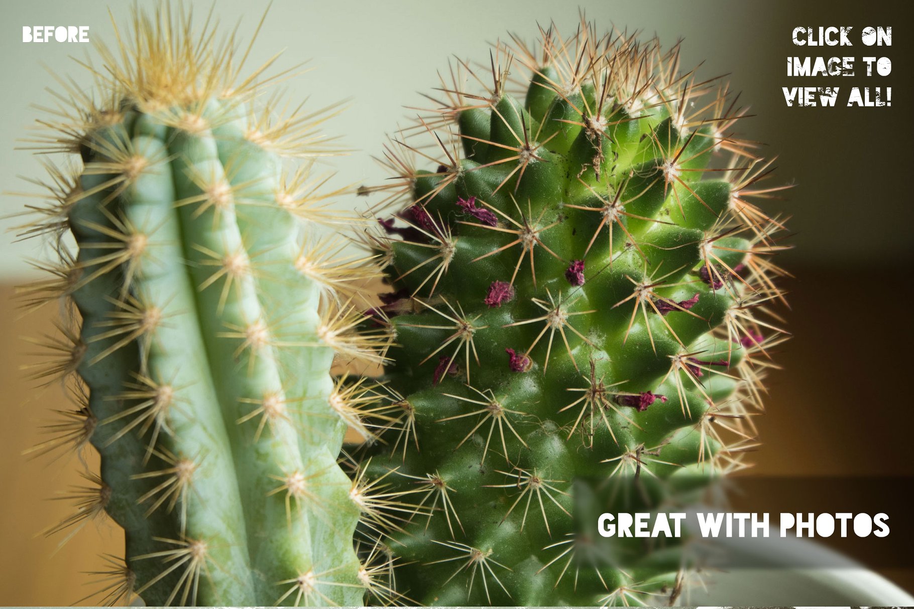 撕破做旧纸张纹理 Scratched & Torn paper textures插图(4)