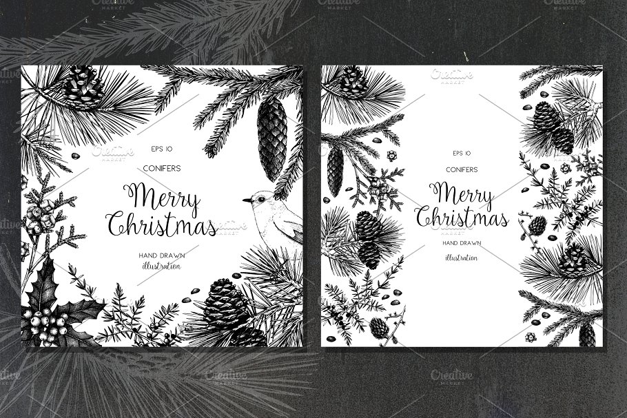 矢量针叶树图形素材集 Vector Conifer Trees Collection插图(3)