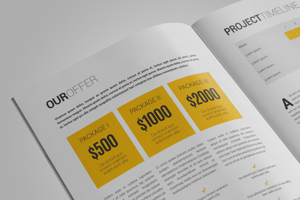 2019年优秀公司投标标书设计模板 Indesign Proposal Template插图(2)