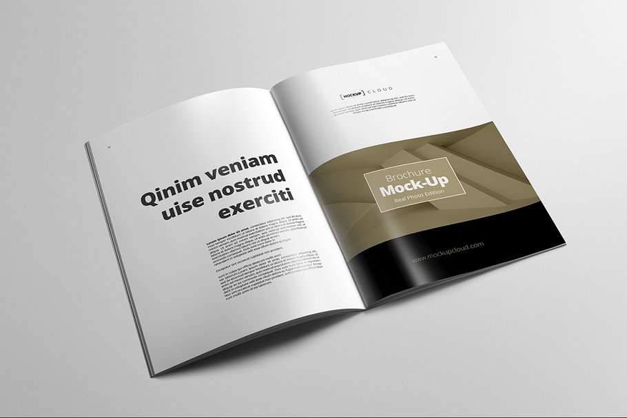 A4规格小册子说明书样机模板 Brochure Mock-Up / A4 Portrait插图