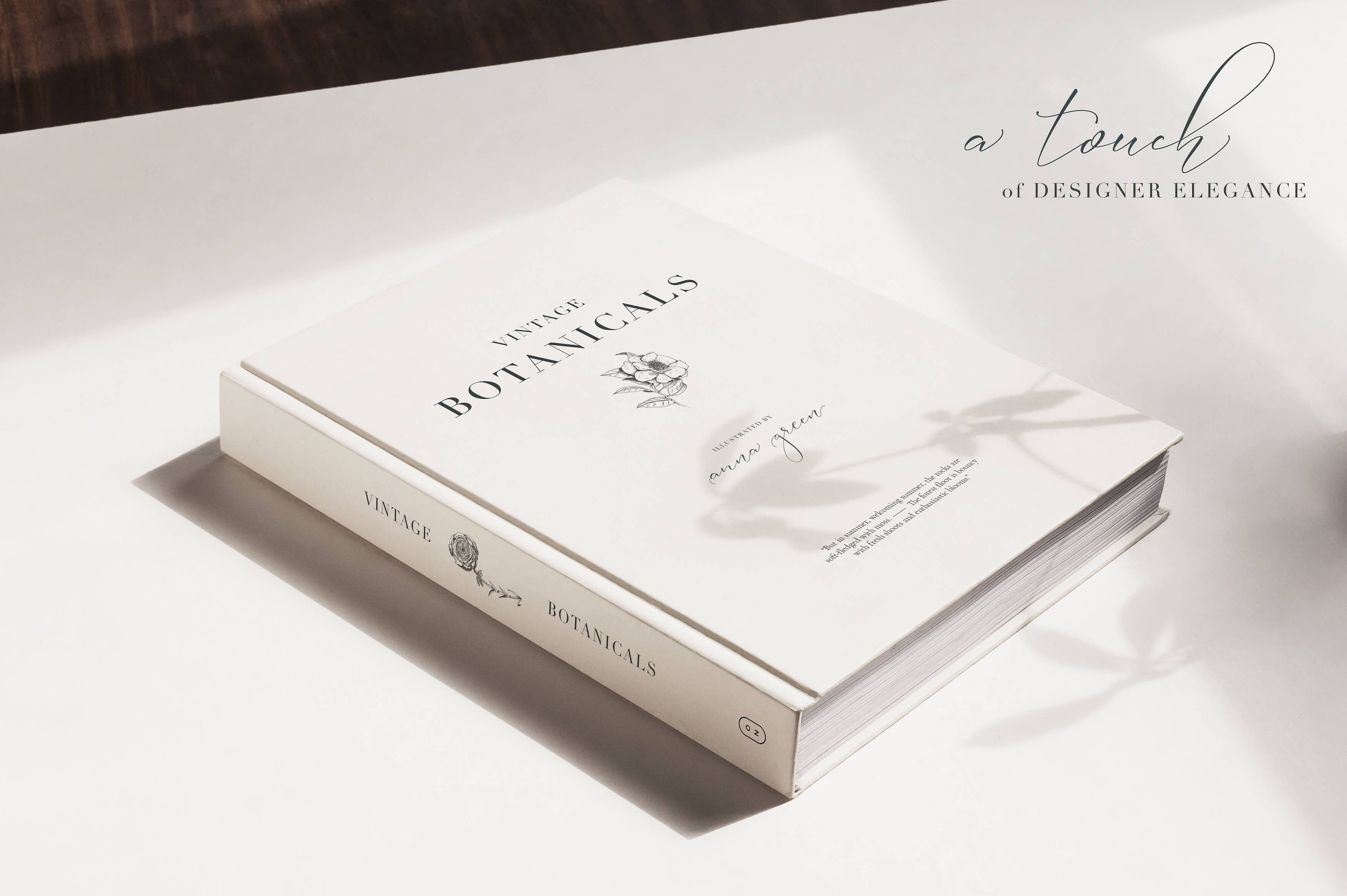 植物学手绘插画第2卷 Botanical Illustrations Vol.2插图(5)