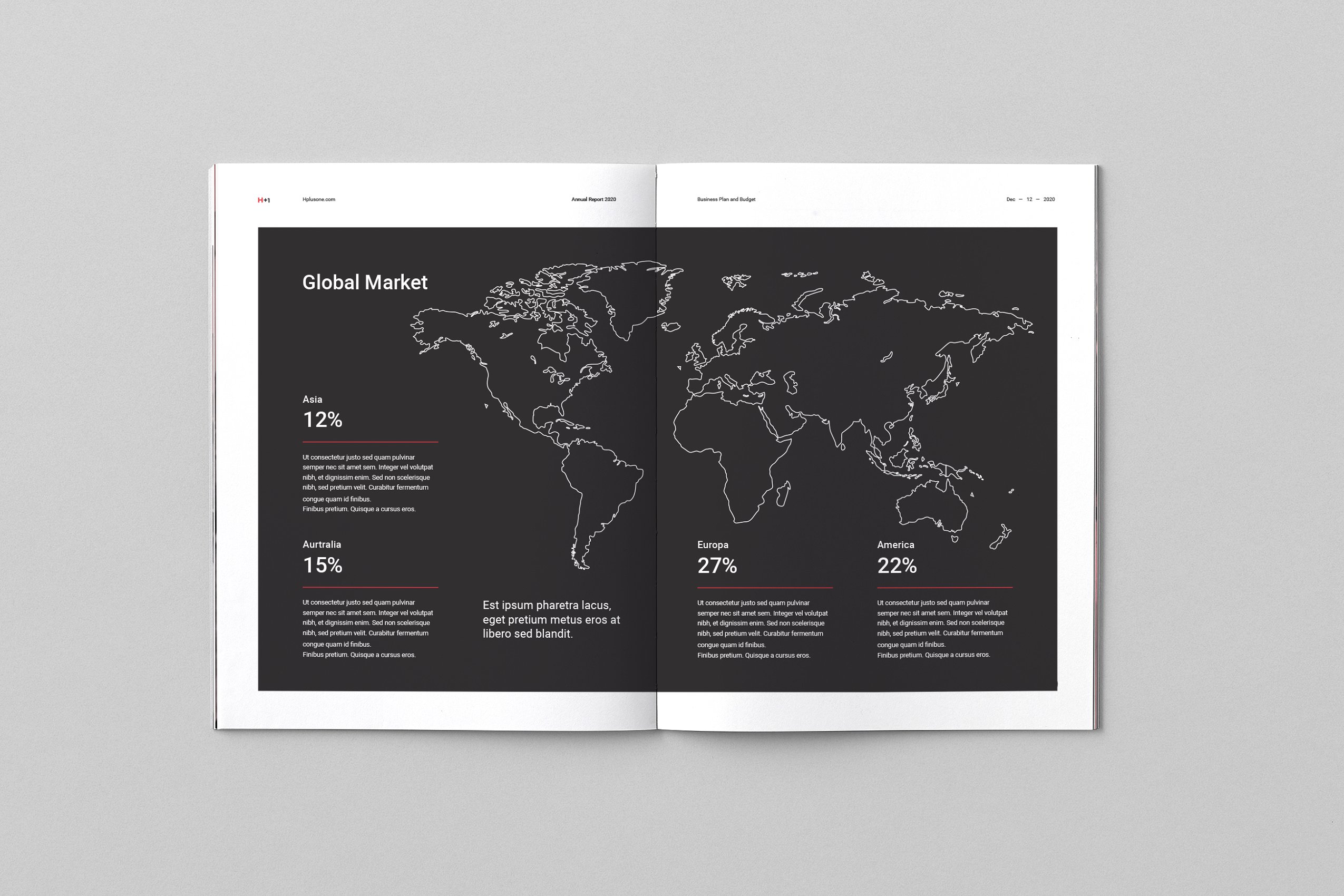 36页专业极简的年度总结杂志模板下载 Annual Reports [indd]插图(9)