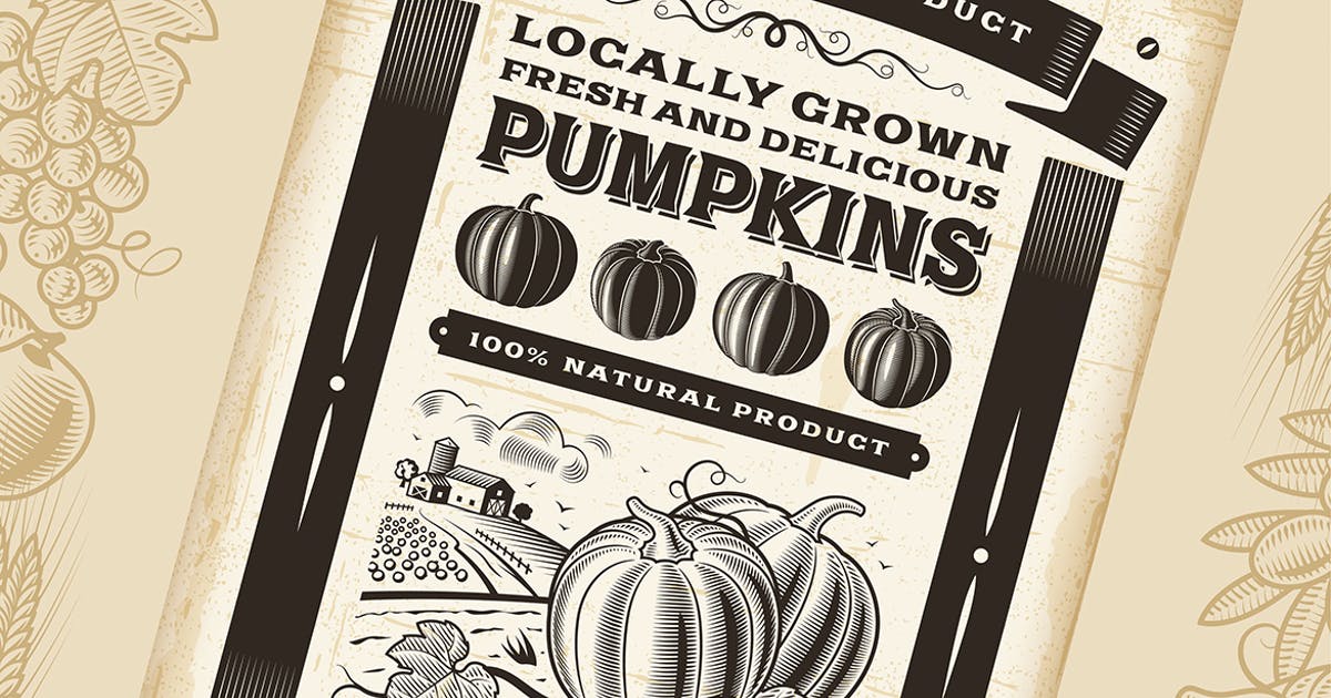 复古设计风格南瓜农产品促销海报模板 Vintage Pumpkin Harvest Poster插图