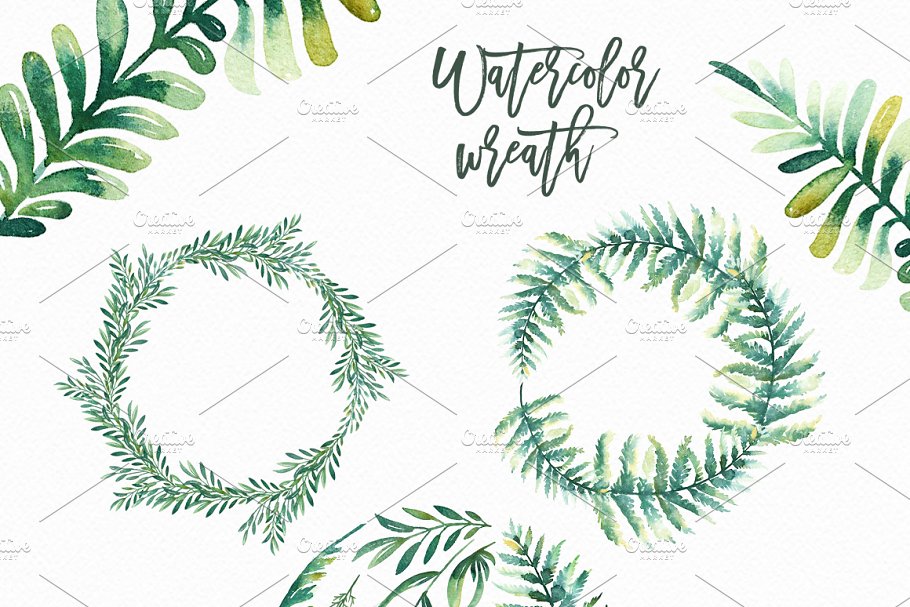 40个绿色植物水彩插画 Watercolor Greenery插图(3)