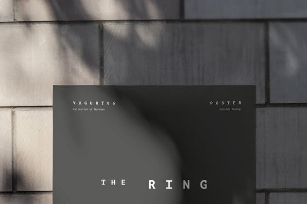 红砖墙海报张贴效果展示样机模板 Urban Poster Mock-up插图(10)