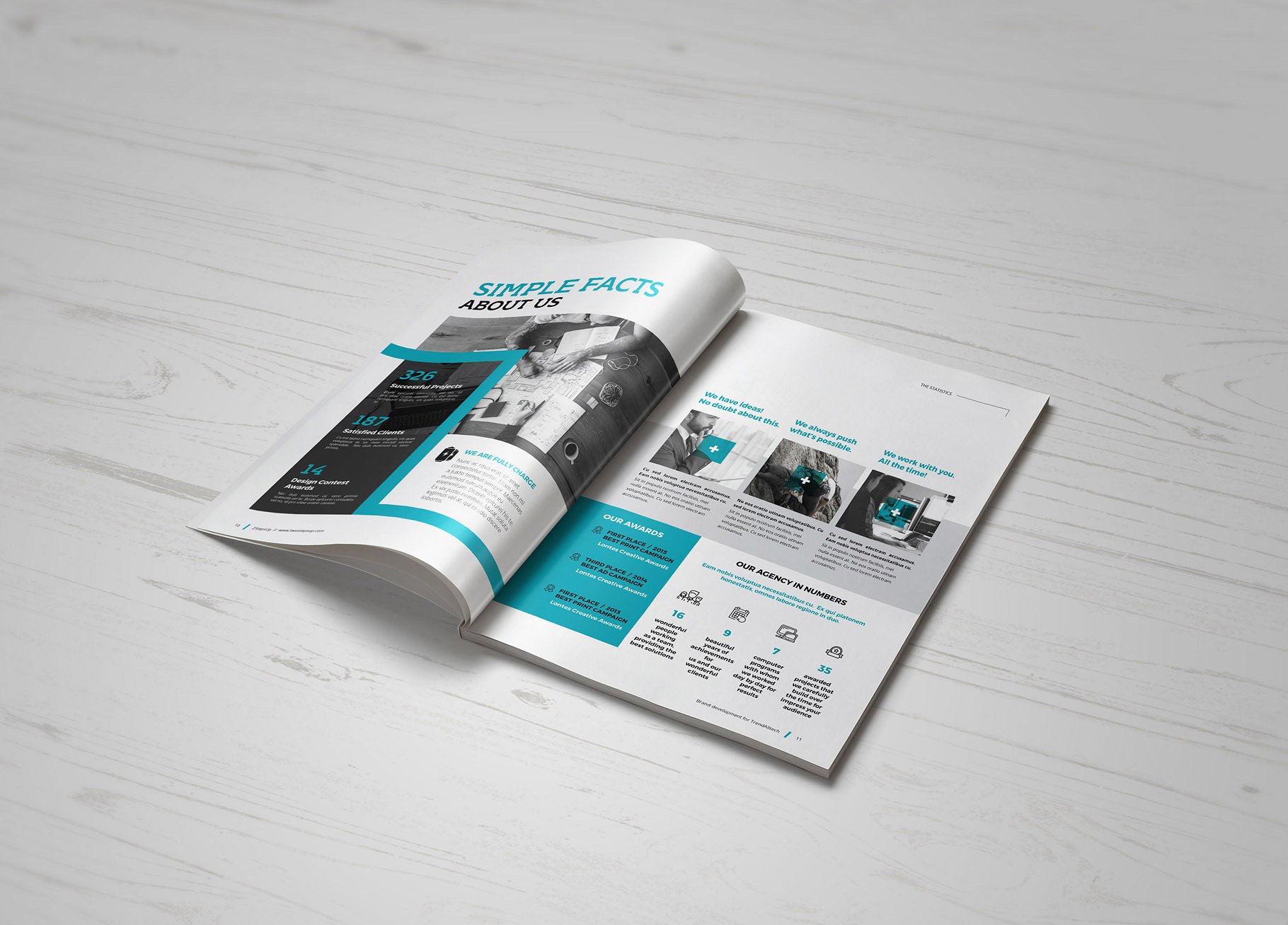 商业项目计划书手册模板 Proposal插图(3)