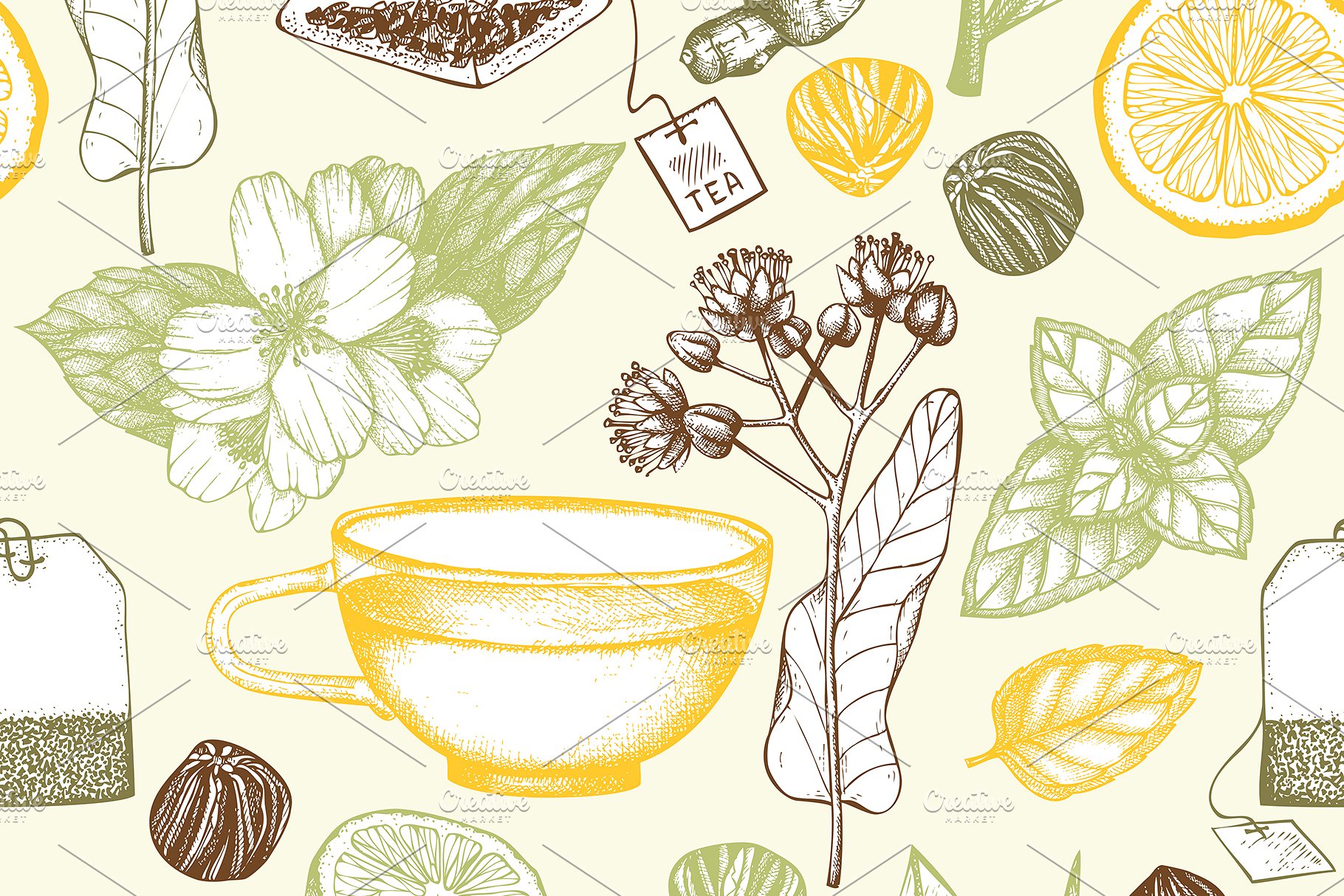 老式凉茶草药成分矢量插图合集 Vector Herbal Tea Ingredients Set插图(2)