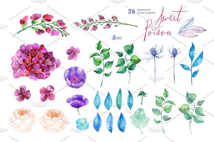 甜蜜的毒药-水彩花卉素材集 Sweet Poison. Floral collection插图(2)