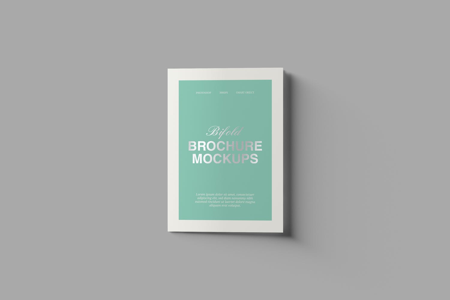 A5双折页产品传单设计图样机 A5 Bifold Brochure Mockups插图(5)