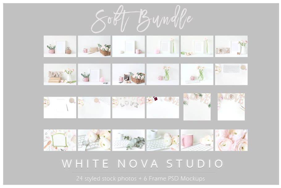 粉红毛茛花卉装饰场景样机 Pink Ranunculus Bundle插图(6)