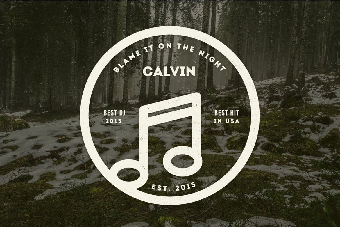 12款复古风格Logo&徽章设计模板v08 12 Vintage Logos & Badges 008插图