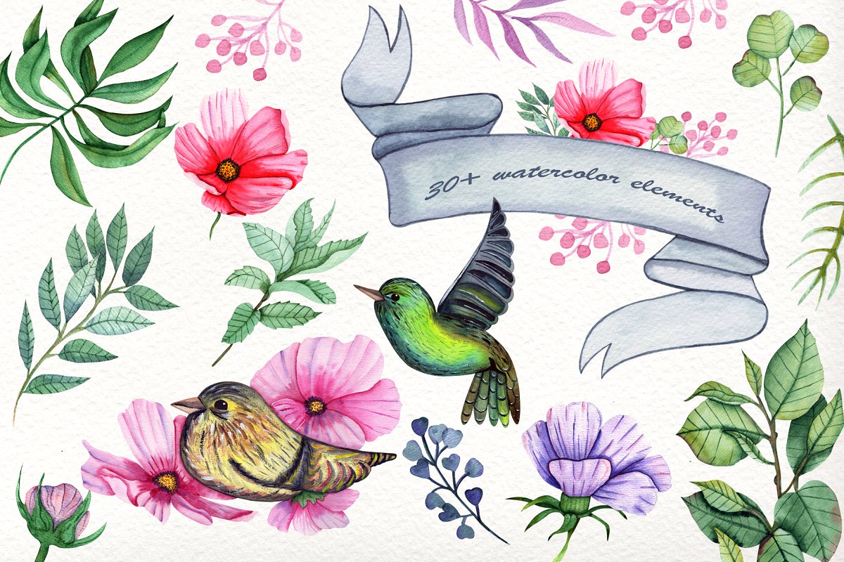 夏季花卉鸟儿水彩系列插画集插图(1)