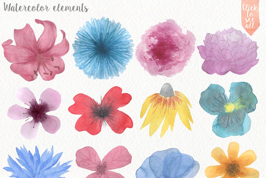 手绘水彩野生动植物插画素材 Wild Watercolor DIY Pro插图(1)