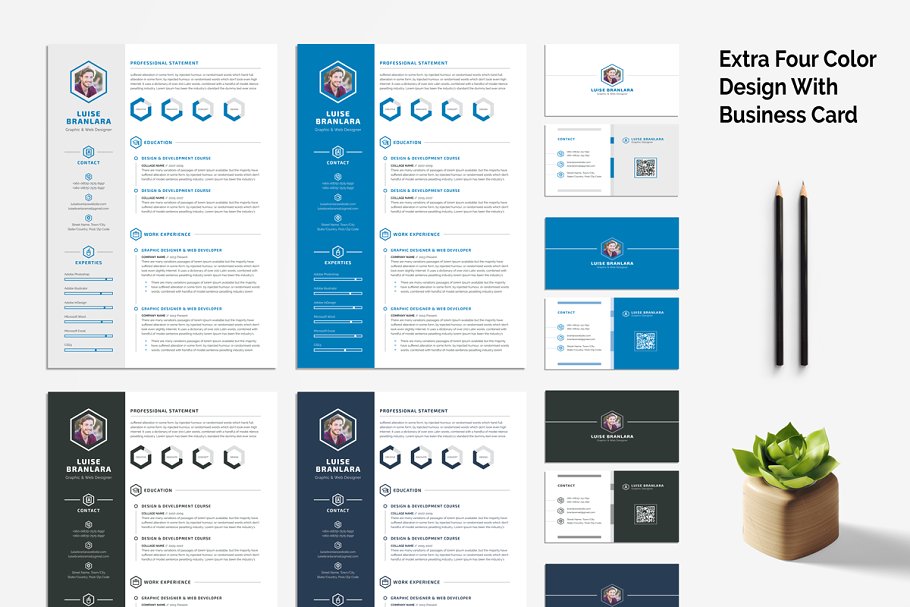 极简主义风格简历模板 Minimal Resume/CV插图(4)