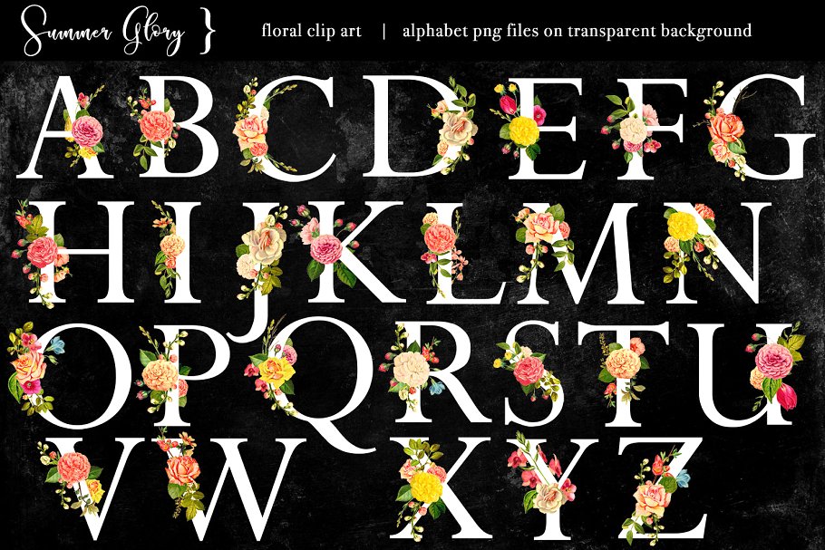 复古盛夏花卉主题素材合集 Floral Clip Art – Summer Glory插图(6)