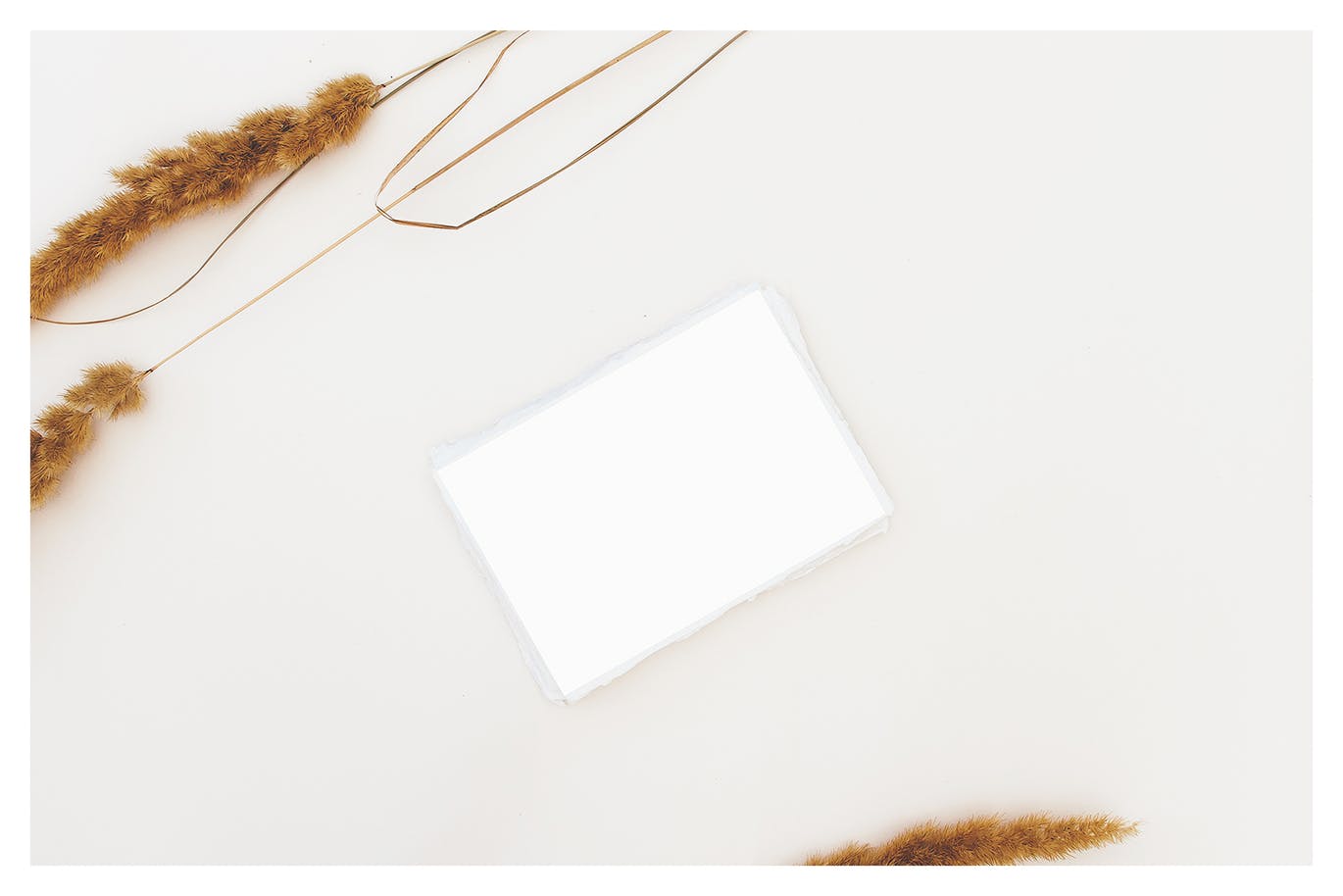 野花装饰背景卡片贺卡设计效果图样机 Wildflowers Cards Mockup插图(6)