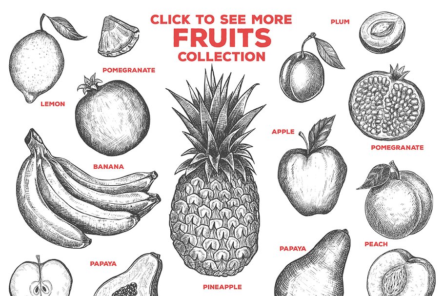 粗略风水果素描插图合集 Fruits Illustrations插图(1)