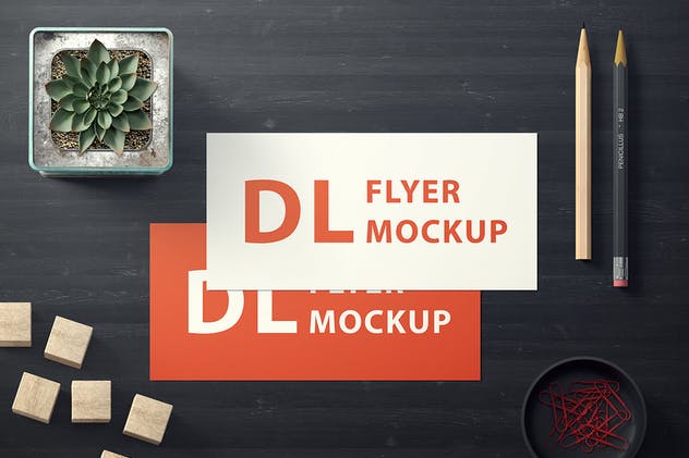 高品质横向DL传单样机套装v1 Landscape DL Flyer Mockup Set 1插图(3)