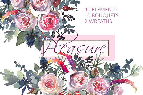 粉红玫瑰/蓝蓟水彩剪贴画 Pink Roses Blue Thistle Clipart插图