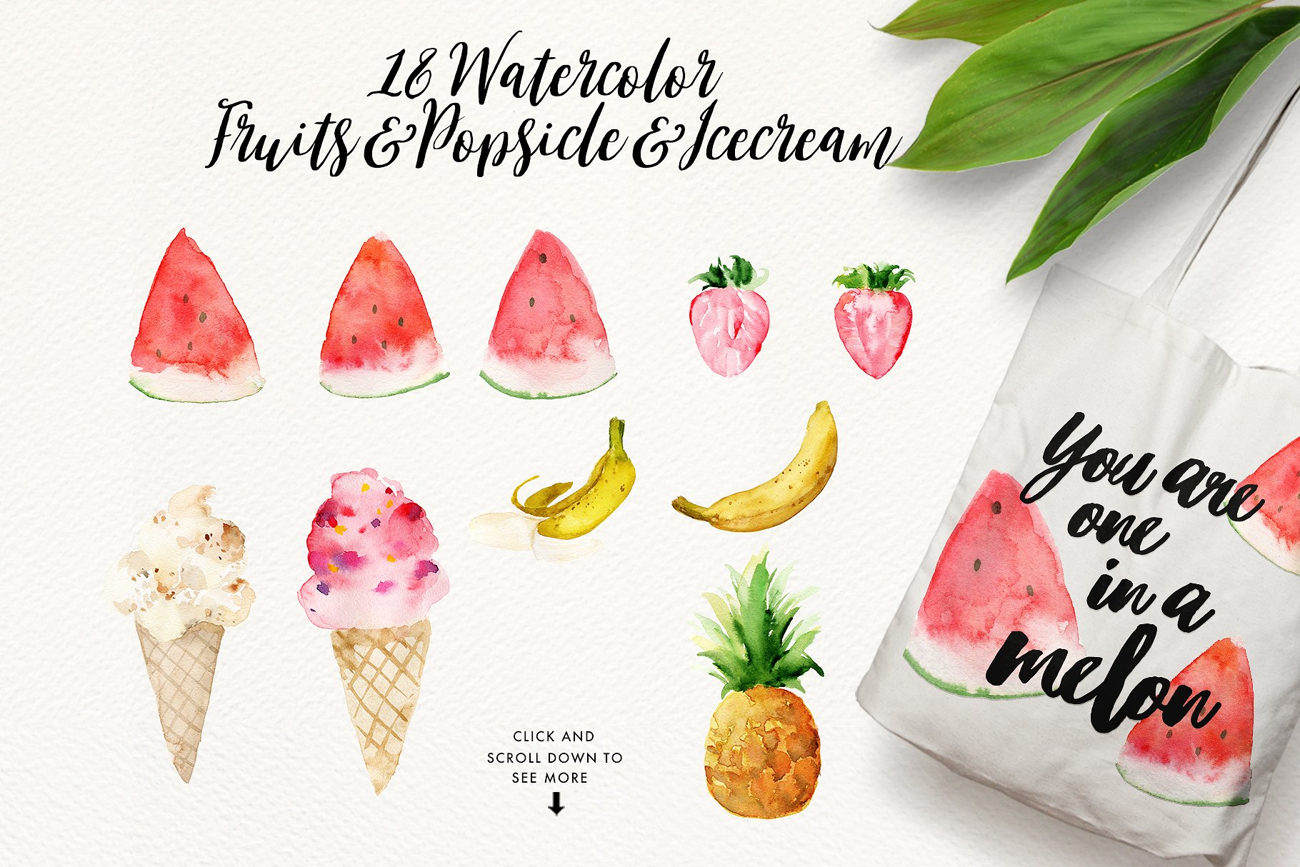 热带夏季手绘设计元素 Summer Design Set-Tropical插图(6)