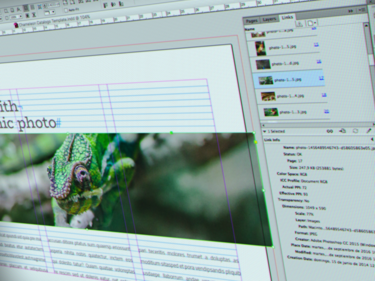 宣传小册子排版设计模板 Chameleon Free InDesign Brochure Template插图(5)