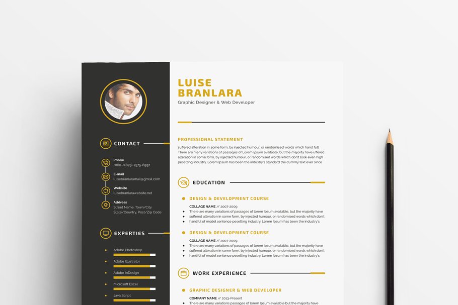 个人简历模板下载 Professional Resume/CV插图(4)